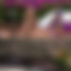 Mofos.com - Natural Hottie Trimmed Pussy - Sophia Leone - 1080p thumb