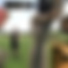 [Lady-Jenny.com] (117 ) Full Rip     05.12.2019 . [Femdom, Bondage, BDSM, Caning, Torture, Pain, Spanking, Torment, CBT, Clothespins, Electrical Play, Needles, Whipping, Slapping, Wax, Dildo, Anal Play, Anal Fisting, Injections, Boot Licking, Foot Licking, Tickling, Enema, Ballbusting, Mask, Blood, SiteRip, 720p, 480p] thumb
