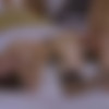 [DorcelClub.com] Bella Tina (At The Hotel With Bella Tina & John ) [2023 ., Feature,All Sex, Hardcore, Couples, 1080p] thumb