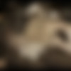 Infernal Restraints - 2011 thumb