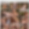 Young Ripe Mellons 5 [DVD9] thumb
