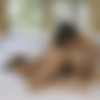 [ReidMyLips.com] Riley Reid, Ryan Reid (My Little Stepsister) [02.03.2020, Ass Licking, Brunette, Bush, Lesbian, Pussy Fingering, Pussy Licking, Small Tits, Natural Tits, 1080p] thumb