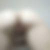 reddit user Swordildo [Amateur] [ 1024*768  4160*3120, 118] thumb