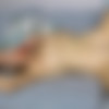 [Anilos.com] Vika - Sexy Silky [2023-01-15, Blonde, Lingerie, MILF, Masturbation, Mature, Solo, Toys, High Heels, 1080p, SiteRip] thumb