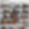 [LiveGonzo.com] Asa Akira (12.01.12) [2012 ., Live, Big Tits, Gonzo] thumbnail