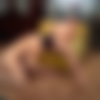 The Intrusion 1975 (x265) thumb
