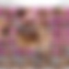 [TwoTgirls.com] Bailey Love & Ally Sparkles / Step Sisters Fuck After a Night Out (23 Feb 2018) [1080p] thumb
