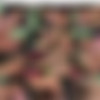 CDgirls Megapack circa late 2000's to early 2010's thumb