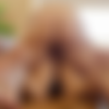 [Corbin Fisher] ACM2904 - Barron and Calan (1080p) thumb