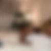 [OnlyFans.com] Kiara Mia & Chris Diamond [2023, All Sex, Big Cocks, Big Tits, Blowjob, Bubble Butt, Busty, Cumshot, Curvy, Facial, Fat Ass, Hardcore, Latina, Mature, MILF, Pussy Licking, Tit-Sucking, 720p, SiteRip] thumb