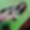 [Onlyfans.com] RazorCandi - Shego [2023-04-15, Alt Porn, Anal Play, Amateur, Big Tits, Close Up, Cosplay, Dildo, Masturbation, Solo, Squirt, Tattoos, Toys, Oil, 1080p, SiteRip] thumb