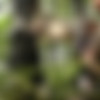 Dirty-slut.com - Fucked By Casual Encounters In The Woods thumb