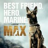 Max 2015 720p PTV WEB-DL AAC 2 0 H 264-PiRaTeS thumb