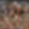 DorcelClub.com / Dorcel.com - Zara, Liza Del Sierra, Dorothy Black, Clara G and unknown girl - Theses 5 gorgeous girls love anal sex thumb