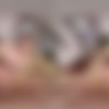 [XSinsVR.com / SinsVR / SexLikeReal.com] Fibi Euro, Sladyen Skaya - Sharing Valentine Is Caring [14.02.2024, Blonde, Blow Job, Close Ups, Cowgirl, Cumshots, Czech, Doggy Style, FFM, Hardcore, Missionary, Pierced Nipple, POV, Reverse Cowgirl, Shaved Pussy, Tattoo, Threesome, Valentine's Day, Virtual Reality, SideBySide, 7K, 3584p, SiteRip] [Oculus Rift / Quest 2 / Vive] thumb