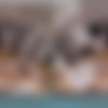 [XSinsVR.com / SinsVR / SexLikeReal.com] Massy Sweet - Petite Girl Massage [22.01.2024, Brunette, Close Ups, Cowgirl, Cumshots, Doggy Style, Face Pierced, Hand Job, Hardcore, Massage, Missionary, Petite, POV, Reverse Cowgirl, Shaved Pussy, Slim, Small Tits, Tattoo, Teen, Young, Virtual Reality, SideBySide, 7K, 3584p, SiteRip] [Oculus Rift / Quest 2 / Vive] thumb