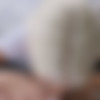 Wet and Wild Asses 5 split scenes thumb