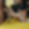 [puzzyfun.com] Amyyy Oxxo (Oh Yes How Fantastic, Amyyy Oxxo Gets Inseminated By Us) [2023-06-28, Blow Job, Gangbang, Older Man Younger Woman] [720p] thumb