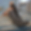 reddit user 091835091835098 [Amateur] [ 1944*1944  2592*1944, 72 ] thumb