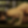 [3DbdsmDungeon] - The Monastery: Return Of The Husband thumb