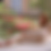 [UltraFilms.com] Amber aka Amber Plume - Sharing Intimate Moments [2024, Masturbation, Oil and Cream, Outdoors, Redhead, Shaved Pussy, Small Tits, Solo, 60FPS, 1080p, SiteRip] thumb