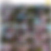 [Fansly.com] lilredrae Siterip Aug 2021 - May 2024 (re-upload, fixed) thumb