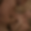 [Wicked.com] Jill Kassidy - Timeless 1950S (29.12.2023) [2023 ., Gonzo, Hardcore, All Sex, 720p] thumb