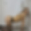 [clips4sale.com] SofiaStudios 10   [2021 ., Femdom, ballbusting, handjob, pov ballbusting, pov handjob, close up blowjob. 1080p] thumb