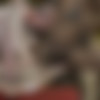 [puzzyfun.com] Dörtje (Teeny Dörtje from Holland loves to be fucked properly) [2020-08-25, Fucking, Orgy, Teen] [720p] thumb