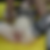 [puzzyfun.com] Emma Fantasy (What a horny day, Emma was back with her porn family for insemination) [2023-11-27, creampie gangbang, fucking,cum orgy] [548p] thumb