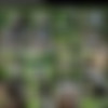 [Bride4k.com / Vip4K.com]Zaawaadi ( Forest Of Wonders And Inescapable Lust)[2023 ., Gonzo, Hardcore ,All Sex, POV 1080p] thumb