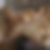 [Blacked.com] Avery Cristy, Ashley Lane (Initiation) [09.05.2020, Threesome, Kissing, Lingerie, Blowjob, Deep Throat, Reverse Cowgirl, Riding, Doggystyle, Creampie, Cum Swapping, 1080p] thumb