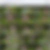 FRDiaperGirls.com 2160p clips thumbnail