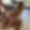 [OnlyFans.com ]Rara Knupps & Kylie Paige & Johnny Sins [2023, Gonzo, Hardcore, All Sex ,POV, Straight 1080p] thumb