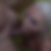 Nicolette Shea - Cumshot Compilation - 1080p thumb