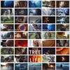 The Tree of Life 2011 Criterion 1080p BluRay x264-OFT thumb