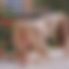 [UltraFilms.com] Amber aka Amber Plume - Sharing Intimate Moments [2024, Masturbation, Oil and Cream, Outdoors, Redhead, Shaved Pussy, Small Tits, Solo, 60FPS, 1080p, SiteRip] thumb