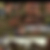 Anal Farm Girls 2 [Erotic Planet] (2024) HD 1080p Split Scenes thumb